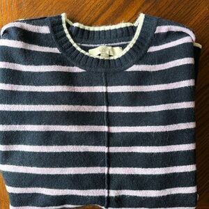 Loft Stripe Relaxed Tunic Sweater